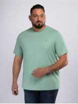 Tee-Shirt Interlock Grande Taille Vert